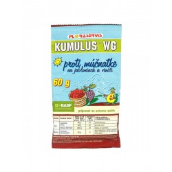 KUMULUS WG 60 g